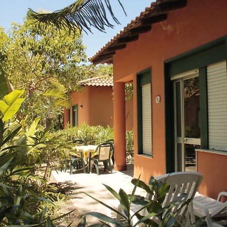 Le Palme Garden Villa San Giorgio  Kültér fotó