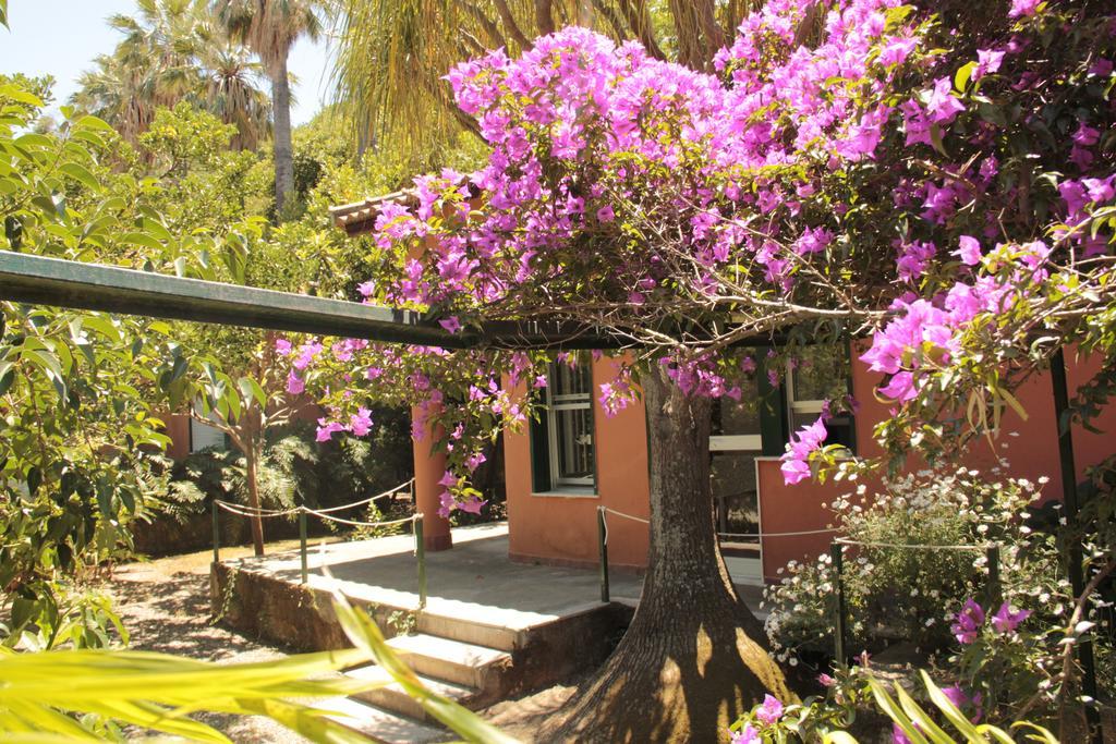 Le Palme Garden Villa San Giorgio  Kültér fotó
